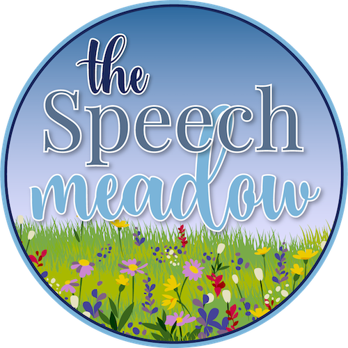 speech and language summary report