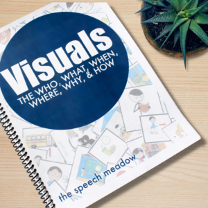 Book on introducing visuals and a plant on the top right hand corner of the picture.